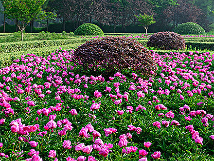 BOB体育APP产品展示四