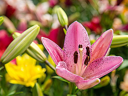 BOB体育APP产品展示二